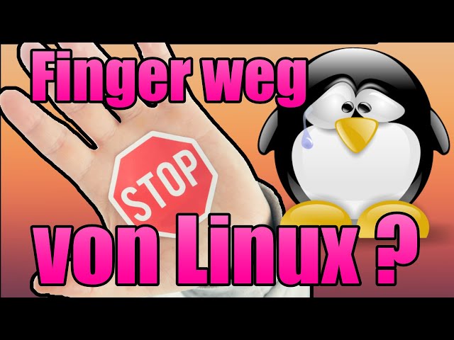 Linux ist KEIN Ersatz für Windows 🤯🚀