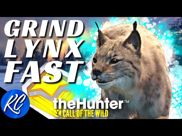 The COMPLETE Diamond Eurasian Lynx Guide - Hotspots, Loadouts & More | Call of the Wild