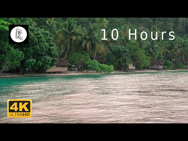 Rain on Roof of Bamboo Huts & Thunderstorm Sounds for Sleep, Insomnia, Relaxing & SPA - 4K, 10 Hours