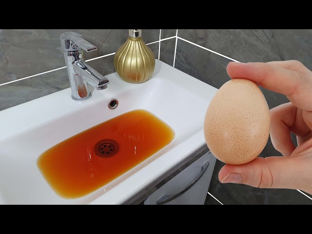 Yumurtayı Lavaboya At Ve Olanlara İnanamayacaksın - Tıkalı Lavabo Açma Yöntemi  Tips&Tricks