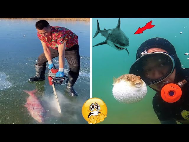 Catching Seafood 🌊🦈🦀🐙 ASMR Relaxing (Catch Shark, Fish, Deep Sea Monster) #864