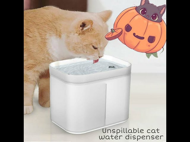 Unspillable cat water dispenser