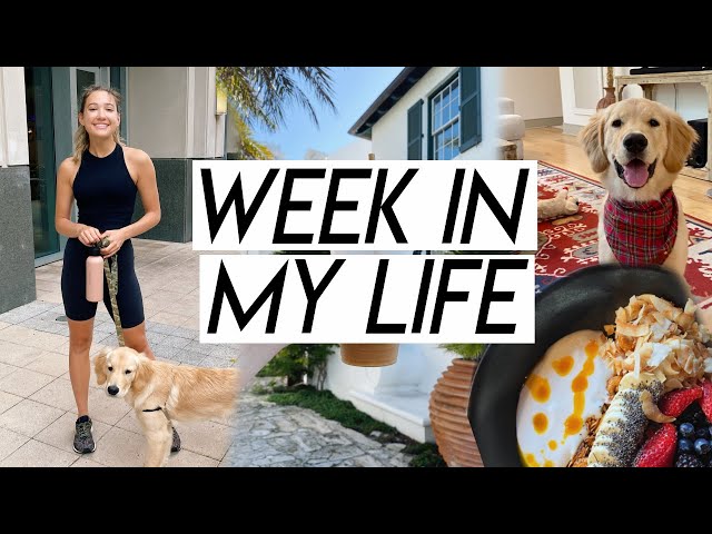 WEEK IN MY LIFE | finance chat, beach prep, dealing with hair loss, book favorites, happy moments!