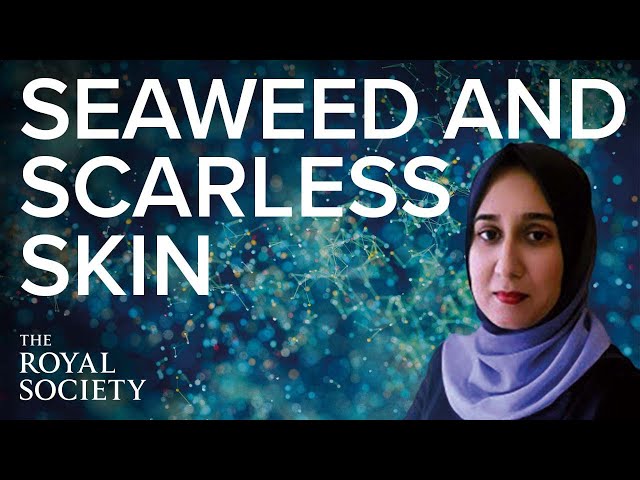 Can seaweed heal wounds without scarring? | The Royal Society