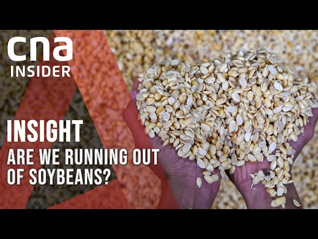 Soybeans: The Unexpected Crop Behind Rising Food Prices | Insight | Full Episode
