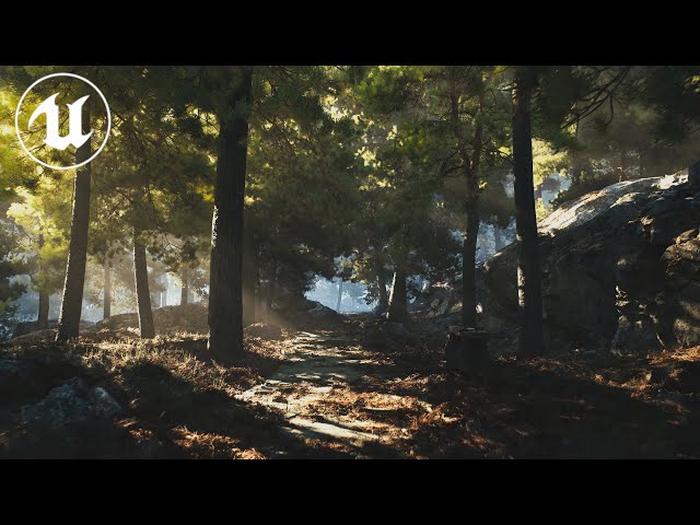 Virtual Pine Garden | UE5 [4K]