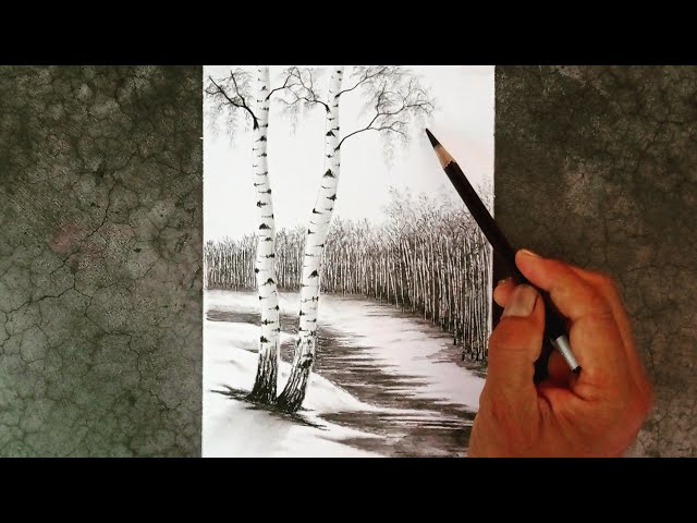 How to draw a pencil drawing of birch trees landscape in ice place?