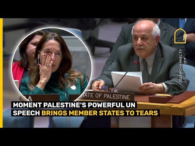 Palestine UN envoy Riyad Mansour's emotional UN speech that made UN reps cry