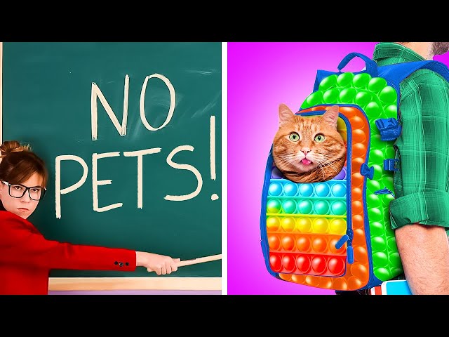 A Bag For Cat! Funny And Creative Hacks For Pet Owners! Cool Ideas By A PLUS SCHOOL