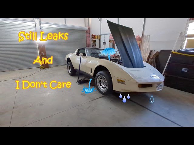 81 Corvette Leaky and I Don't Care