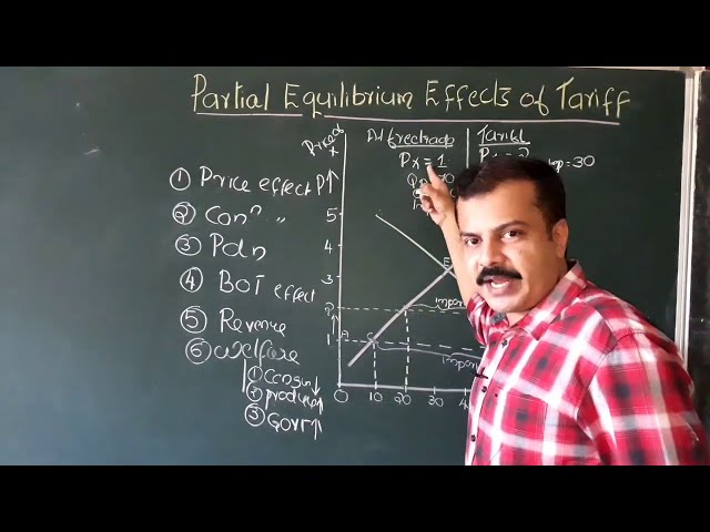 Effects of Tariff | Partial Equilibrium Analysis