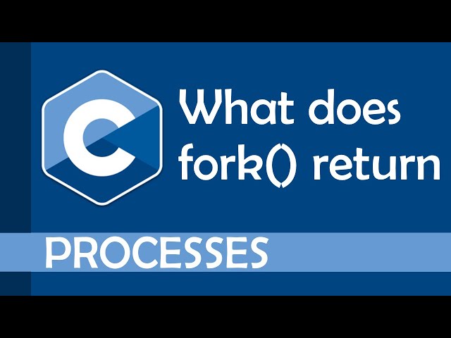 What does fork() actually return?