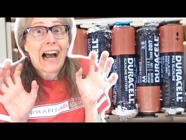 Yikes! Leaky Alkaline Batteries!!!!