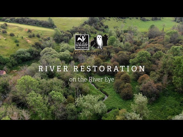 River restoration on the River Eye