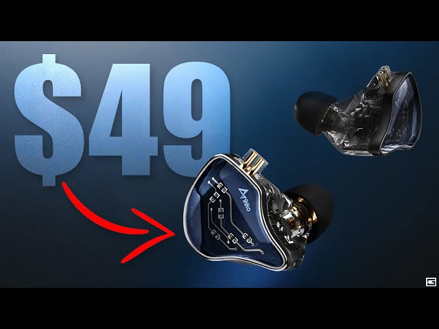 One Of The Best IEM's For BASS Under $50!