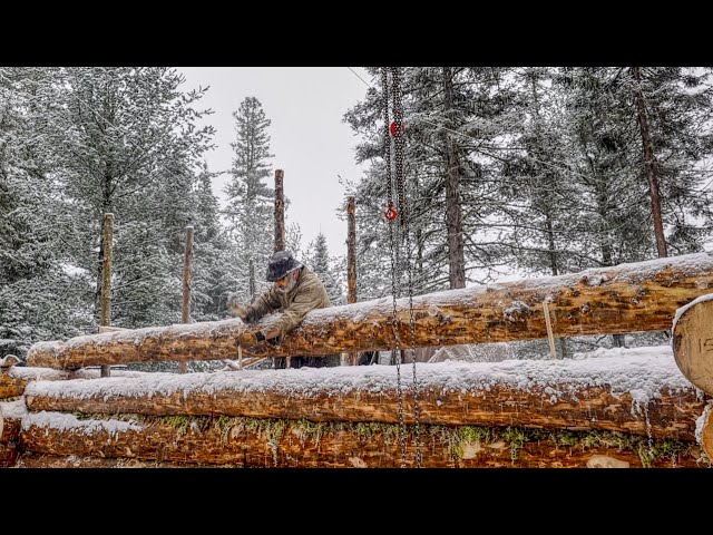 Wood Pole Scaffold, Building an Off Grid Log Cabin in the Wilderness, Ep7