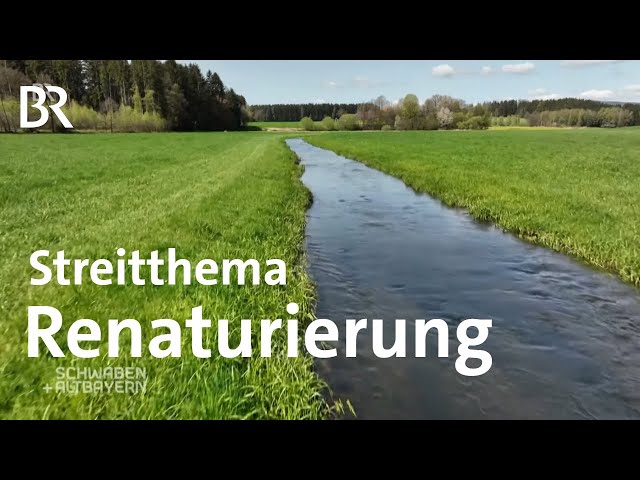 Hochwasserschutz, Artenschutz und Klimaschutz - Renaturierung der Bäche | Schwaben + Altbayern | BR