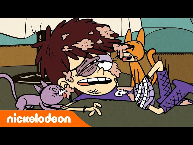 Loud House | Casagrandes | 30 menit momen hewan piaraan paling imut! | Nickelodeon Bahasa