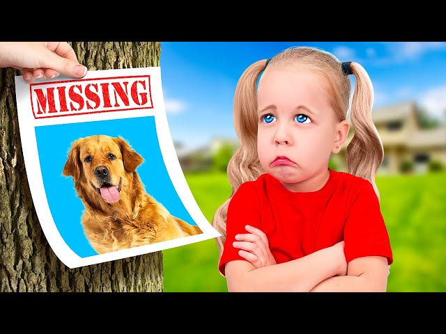 OH NOOO! MISSING PET? Survival Guide For Pet Owners