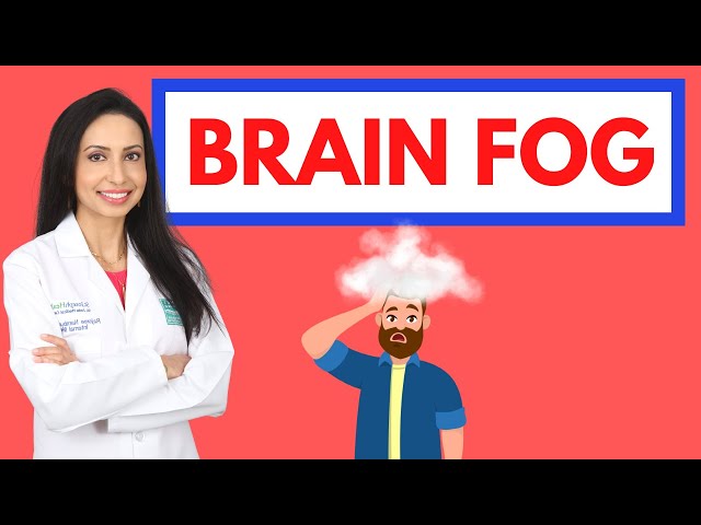 Dr. Rajsree's Guide to BRAIN FOG!  Root Causes and Natural Tips to Improve Your Mental Clarity!