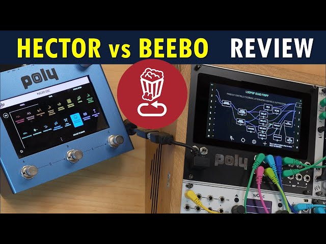 Hector and Beebo Review and Tutorial // Your dream synth/effect without a line of code