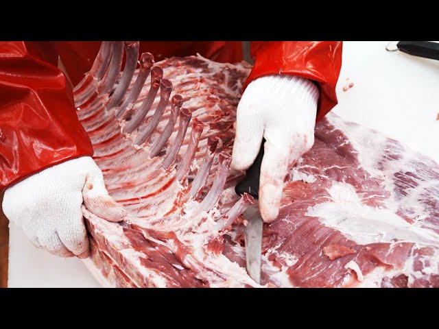 How to Butcher a Pig / Making the best meat / Butcher shop deboning work
