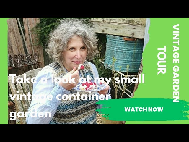 Spring small vintage container garden tour 2023