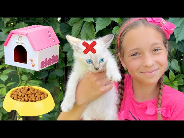 Sofia rescues a lost Kitten and makes a Playhouse