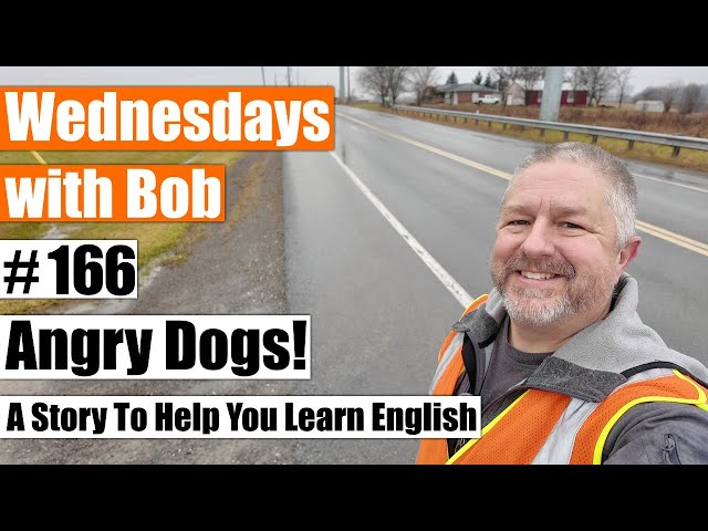 Wednesdays with Bob #166: Two Angry Dogs (Learn English Through Story)
