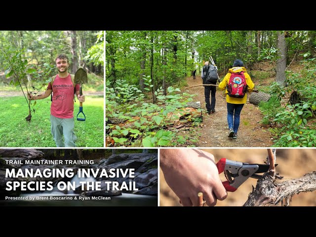Managing Invasive Species on the Trail | NY-NJ Trail Conference Trail Maintainer Training