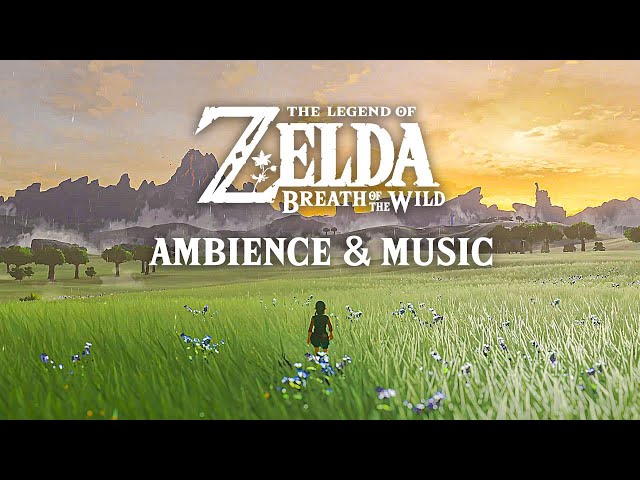 🌾 A Rainy Day in Central Hyrule 🌾 Zelda Ambience & Optional Music