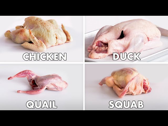 How To Butcher Every Bird | Method Mastery | Epicurious