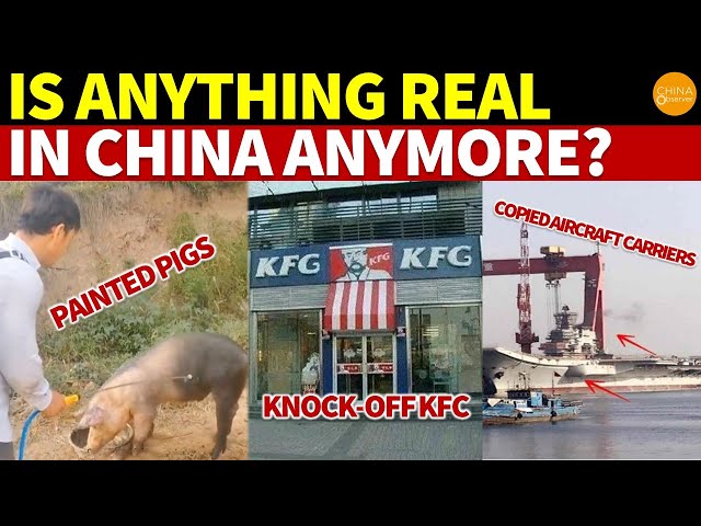 Painted Pigs, Knock-off KFC, Fake Coca-Cola, Copied Carriers: Is Anything Real in China Anymore?