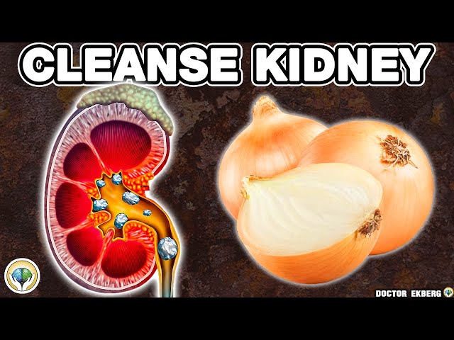 Top 10 SUPER FOODS That Can Heal Your KIDNEYS