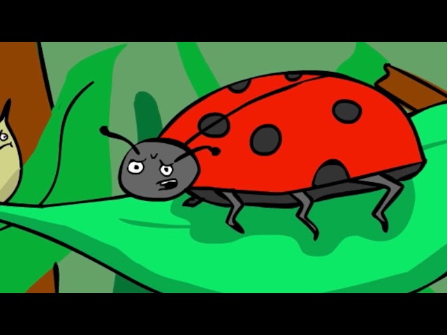 “Ladybug”
