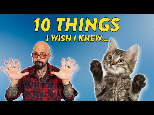 10 Things I Wish I Knew Before Adopting A Cat