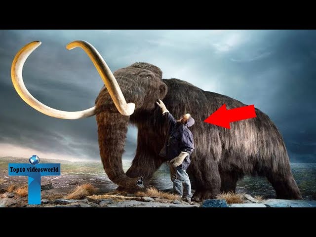 Top 10 Extinct Animals That Will Be Resurrected Soon