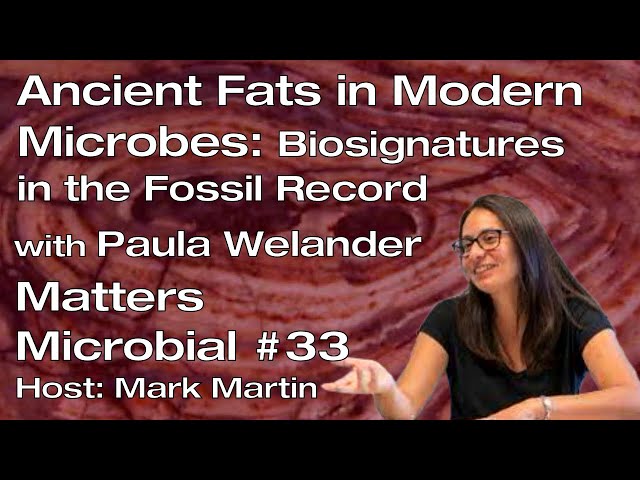 Matters Microbial #33: Ancient fats in modern microbes