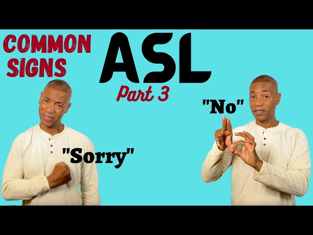 Common Asl Signs part 3:  "ASL for Beginners"  |  Learn ASL  |  American Sign Language | ASL Basics