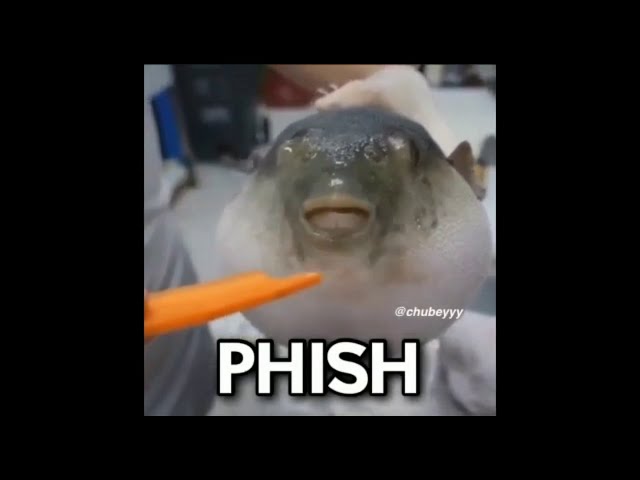 pufferfish eating a carrot meme compilation