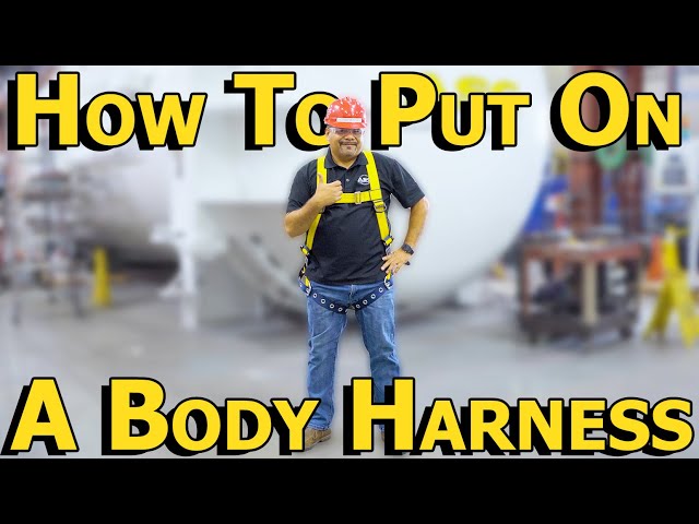 How to put on a Body Harness