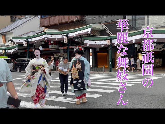 2023年7月27日 京都祇園の華麗な舞妓さん Maiko in Gion,Kyoto 【4K】