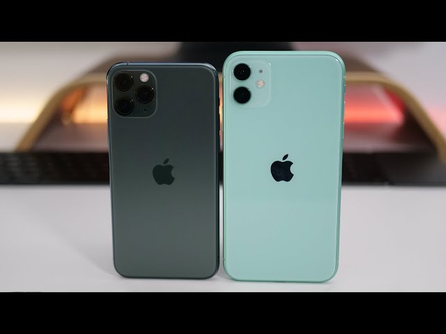 iPhone 11 Pro vs iPhone 11 - Which Should You choose?