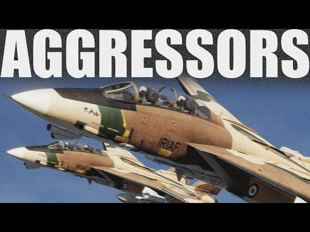 AGGRESSORS | 60+ Pilots and the MASSIVE SCALE OF DCS RED FLAG MULTIPLAYER!