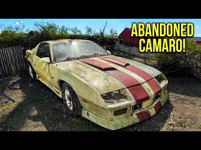 First Wash in 20 Years: ABANDONED Camaro RS! | Car Detailing Restoration