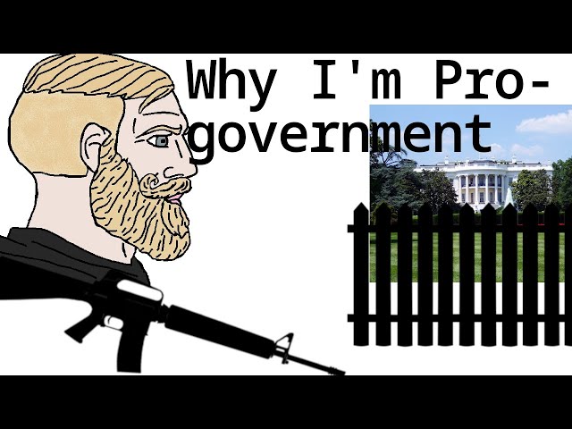 Why I'm Pro-Government