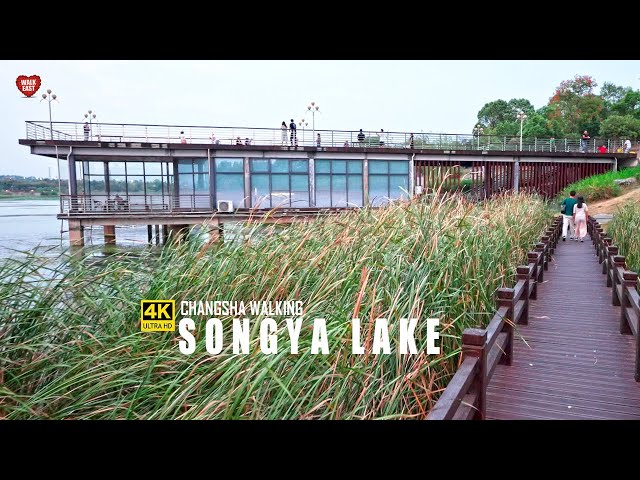 Songya Lake Walking Tour, Changsha's Best Wetland Park | 4K HDR