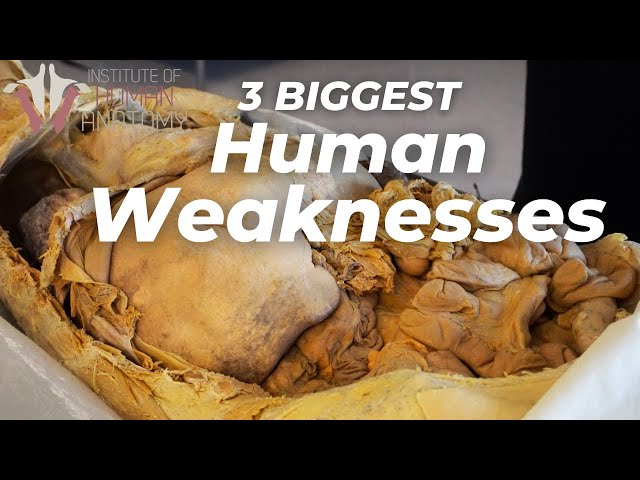 3 BIGGEST Weaknesses of the Human Body