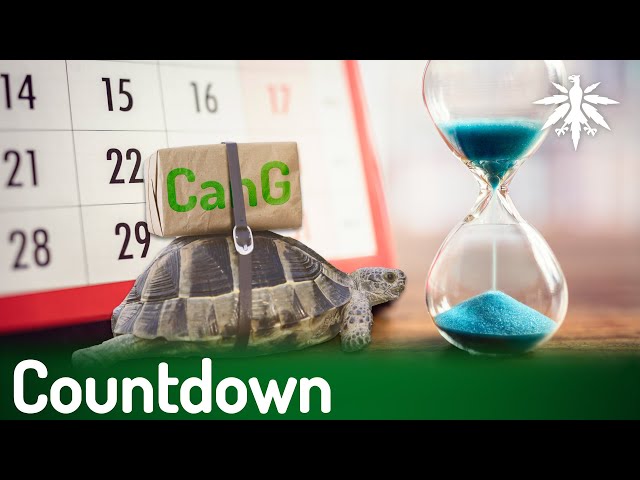 Countdown | DHV-News # 401