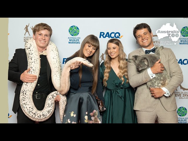 What a night at the Steve Irwin Gala Dinner | Wildlife Warriors Missions